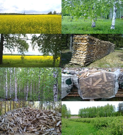 Kuvia_sieltä_täältä